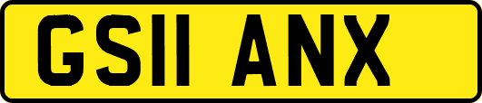 GS11ANX