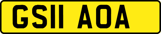 GS11AOA
