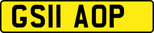 GS11AOP