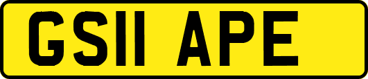 GS11APE