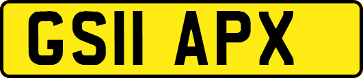 GS11APX