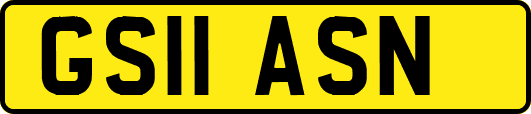 GS11ASN