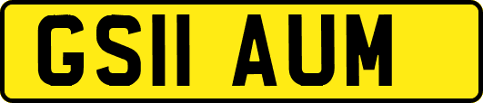 GS11AUM