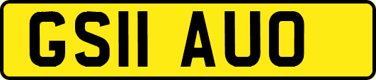 GS11AUO