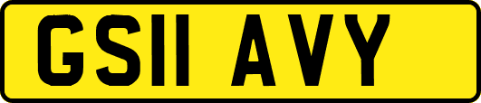 GS11AVY