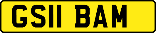 GS11BAM