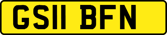 GS11BFN