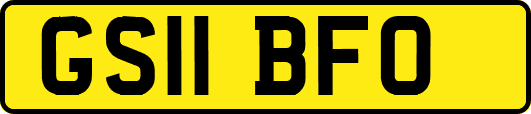 GS11BFO