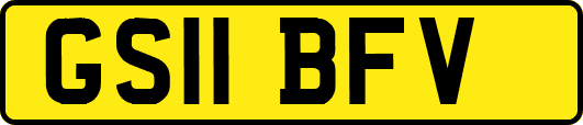 GS11BFV