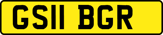 GS11BGR