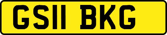 GS11BKG