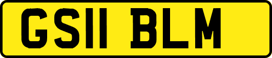 GS11BLM