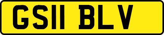 GS11BLV