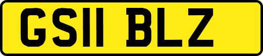GS11BLZ