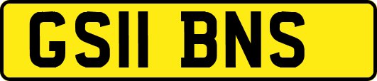GS11BNS