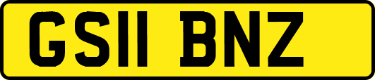GS11BNZ