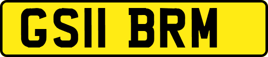 GS11BRM