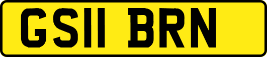 GS11BRN