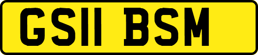 GS11BSM