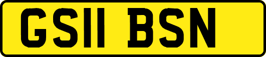 GS11BSN