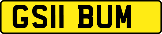 GS11BUM