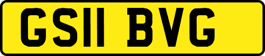 GS11BVG