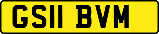 GS11BVM