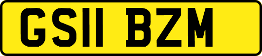 GS11BZM