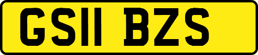 GS11BZS