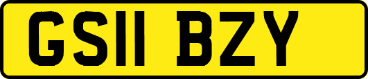 GS11BZY