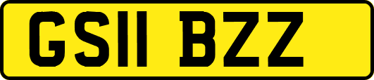 GS11BZZ