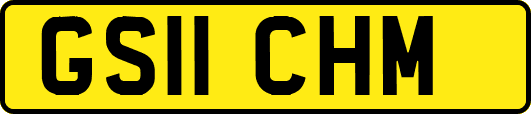 GS11CHM