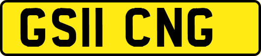 GS11CNG