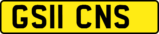 GS11CNS