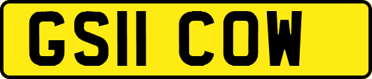 GS11COW