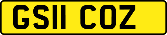 GS11COZ