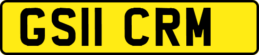 GS11CRM