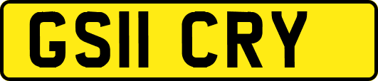 GS11CRY