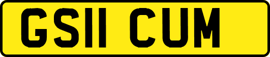 GS11CUM