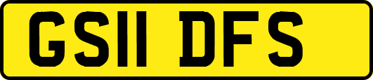 GS11DFS