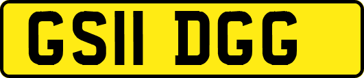 GS11DGG