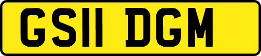 GS11DGM