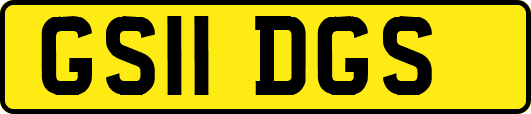 GS11DGS