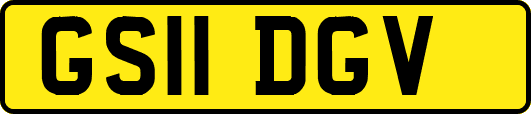 GS11DGV