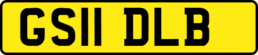 GS11DLB