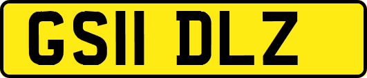 GS11DLZ