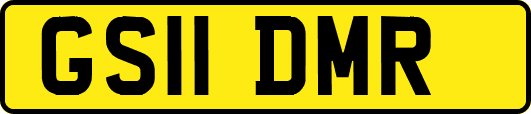GS11DMR