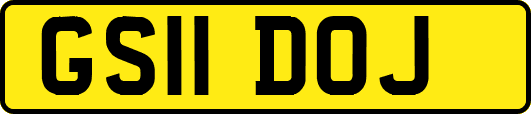 GS11DOJ