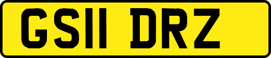 GS11DRZ