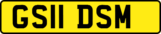 GS11DSM
